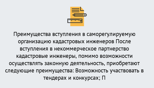 Почему нужно обратиться к нам? Омск Что дает допуск СРО кадастровых инженеров?