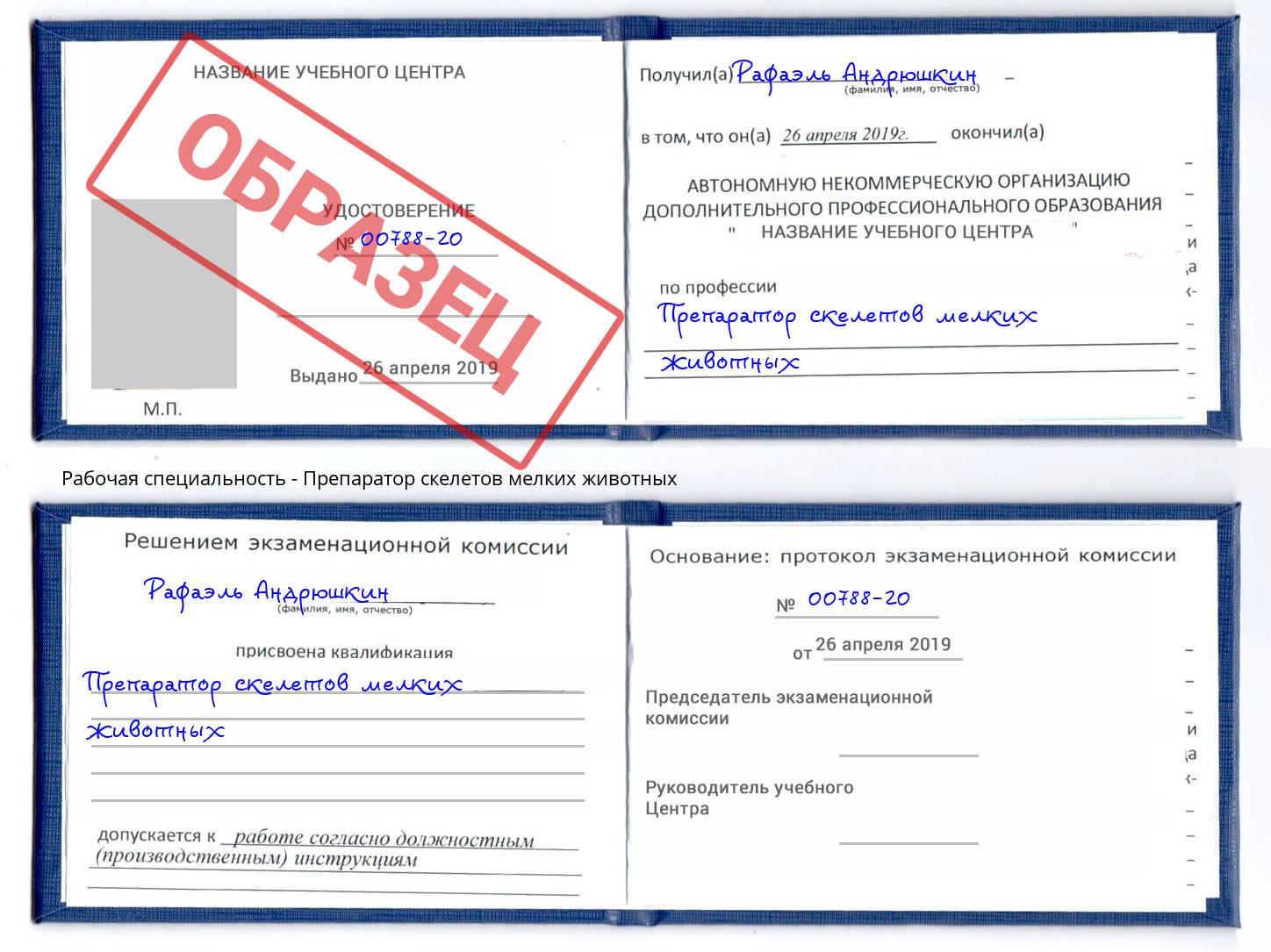 Препаратор скелетов мелких животных Омск