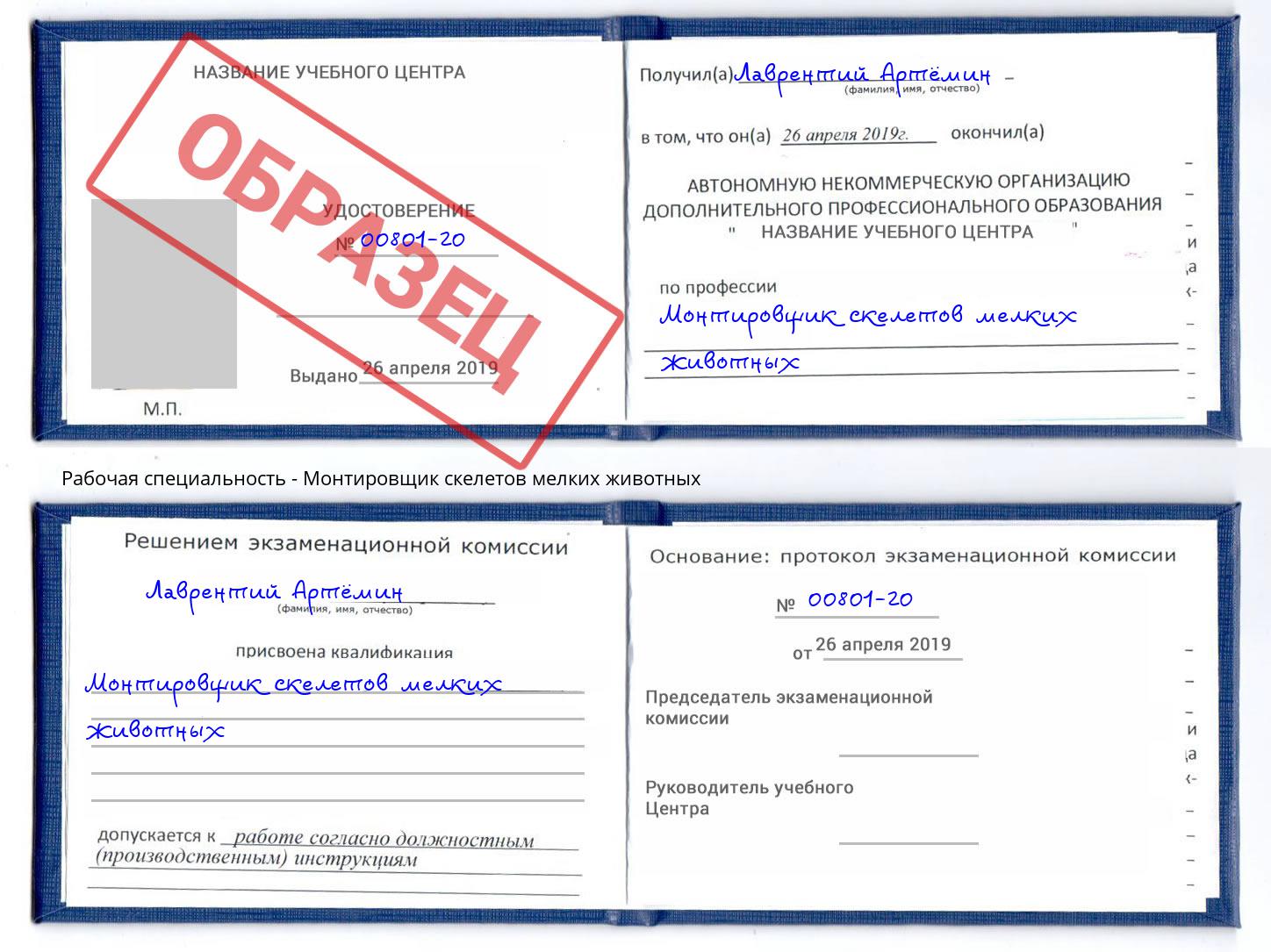 Монтировщик скелетов мелких животных Омск