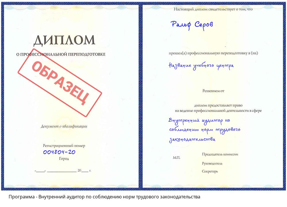 Внутренний аудитор по соблюдению норм трудового законодательства Омск