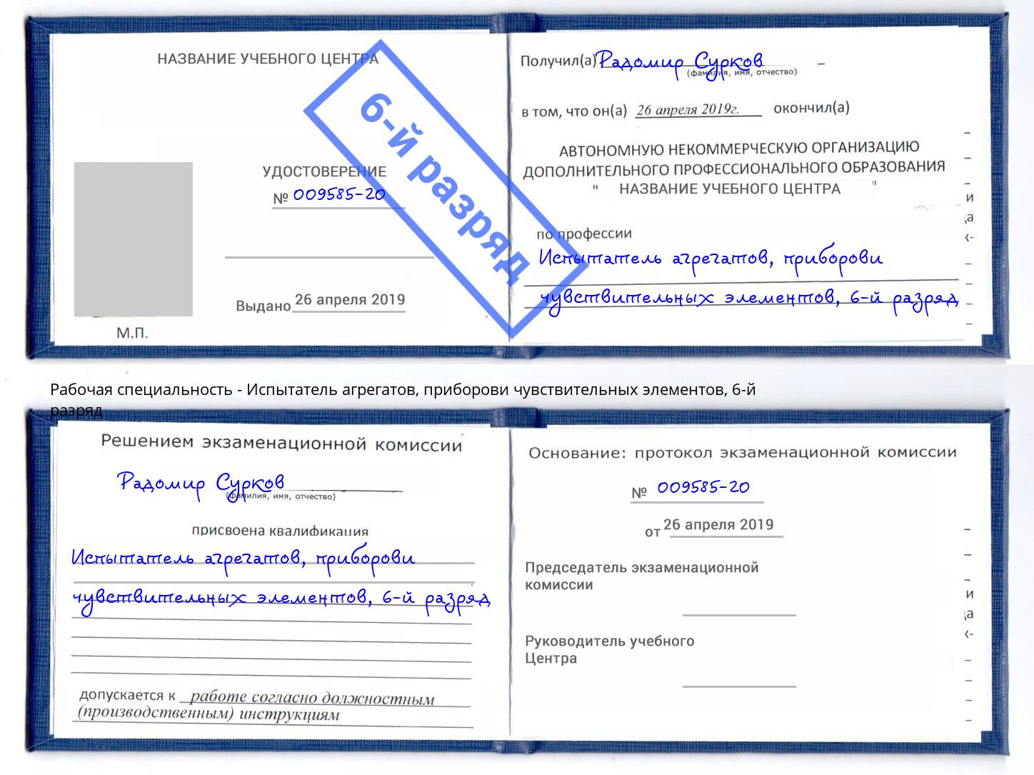 корочка 6-й разряд Испытатель агрегатов, приборови чувствительных элементов Омск