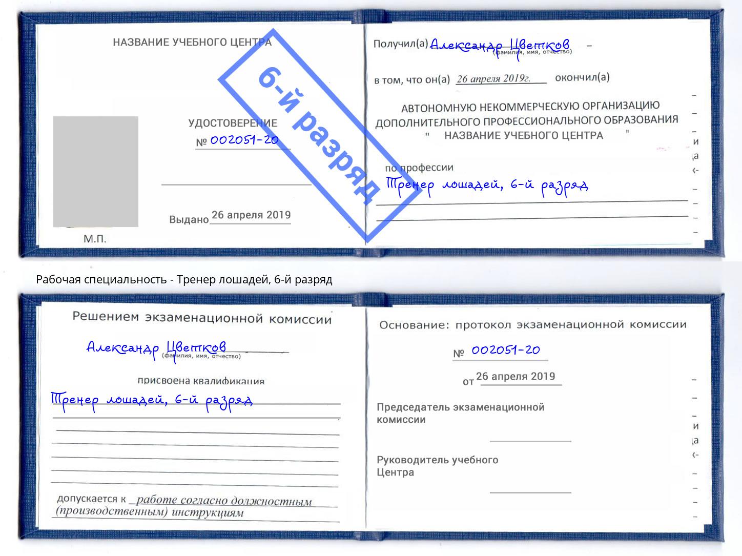 корочка 6-й разряд Тренер лошадей Омск